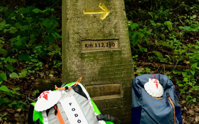 Camino de Santiago: consejos para evitar molestias innecesarias